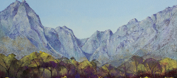 Autumn Vines - Banghoek Valley | 2020 | Oil on Canvas | 46 x 64 cm